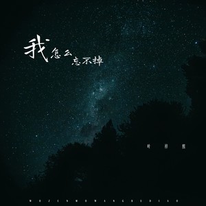我怎么忘不掉 (DJ长梦版伴奏)