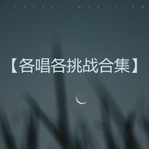 你在看孤独的风景