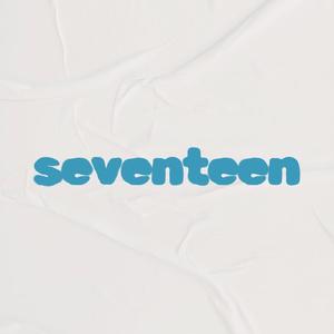 Seventeen (Pop Punk Version)