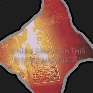 KINDLY DEMOLISH THIS SYSTEM IMMEDIATELY