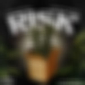Risk (Explicit)