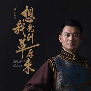 张大伟 - 今夜草原有雨