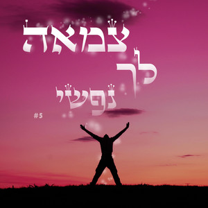 הפרויקט החסידי - חלק א