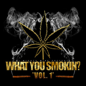 What You Smokin?, Vol.1 (Explicit)