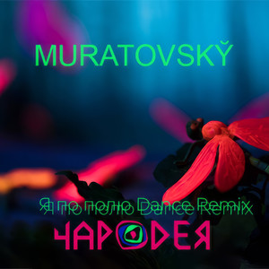 Я по полю (Dance Remix)