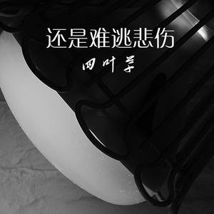 木偶人封面