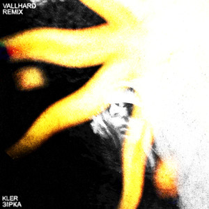 Зірка (Vallhard remix Dub version)
