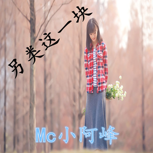 如今一人饮酒醉