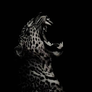 美丽的姑娘 (哈萨克歌曲)