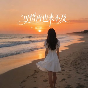 可惜再也来不及