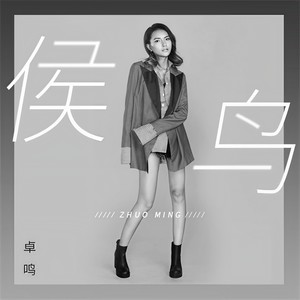 卓鸣 - 候鸟 (伴奏)