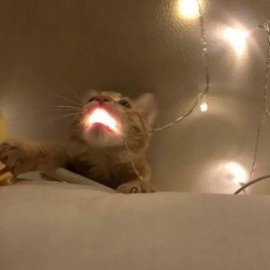 waited4me (Explicit)