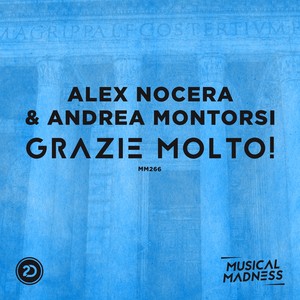 Grazie Molto!