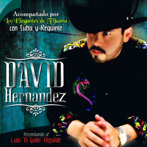 David Hernandez - Fe Perdida