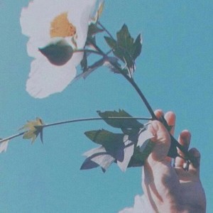 遇见你就是一场花开 (Demo)