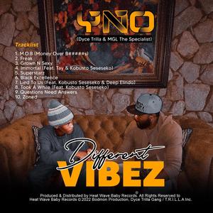 Lied To Us (feat. Kobusto Seseseko & Deep Elindo) (Explicit)