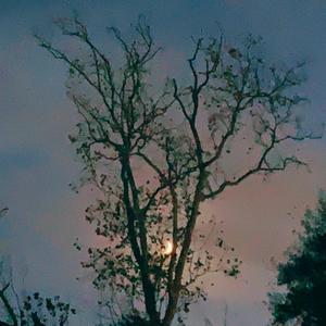 thank Admile. (Explicit)