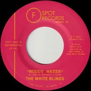 Muddy Water