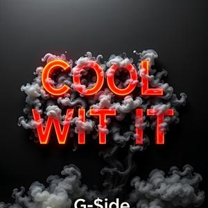 Cool wit it (Explicit)