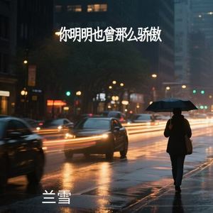 你明明也曾那么骄傲