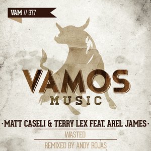 Wasted (Andy Rojas Remix)