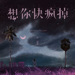 想你快疯掉