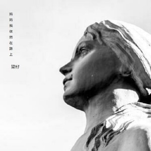 妈妈我依然在路上