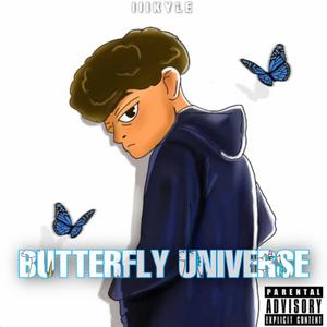 Butterfly Universe (Explicit)