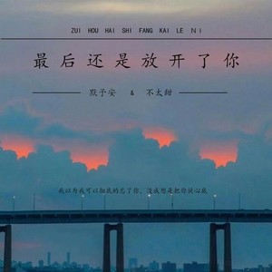 最后还是放开了你