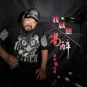 我就想喝醉 (DJ何鹏版)