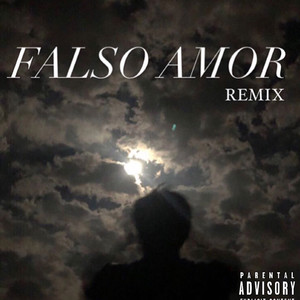 Falso Amor (Remix)