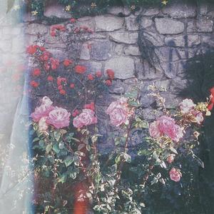 casa, mantel, temprano