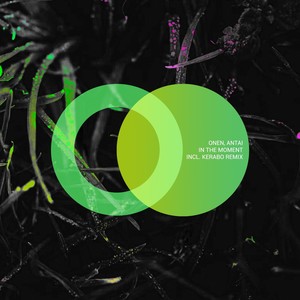In the Moment (Kerabo Mix)