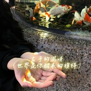 左手的泥呀 (世界是你醒来的模样)