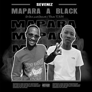 Mapara a Black (feat. Seveniz & Galectik)