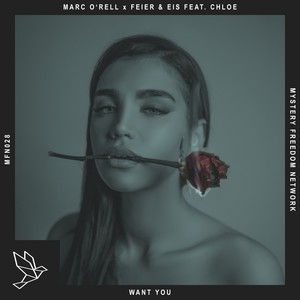 Want You (Radio Mix)