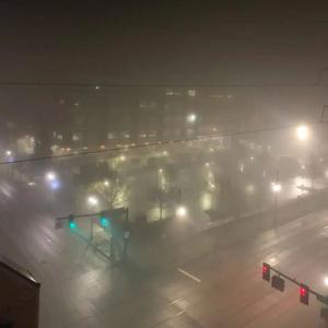 Loyalty Over Blood (feat. Rugratz Lil) (Explicit)