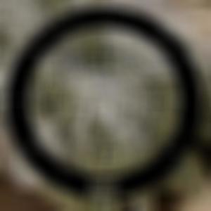 miss u (feat. 6unisito) (Explicit)