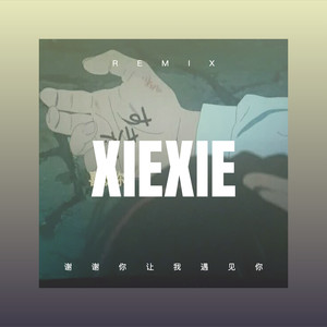 谢谢你让我遇见你