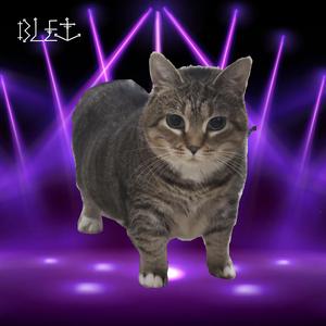 OIIAOIIA CAT