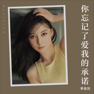 你忘记了爱我的承诺 (DJ阿能版)