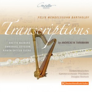 Lieder ohne Worte (Arr. for Oboe and String Orchestra by Andreas N. Tarkmann)