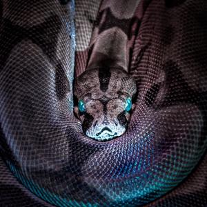 Gods of Drift (Explicit)