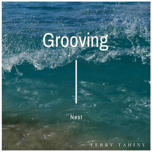 Grooving Nest (Original Mix)