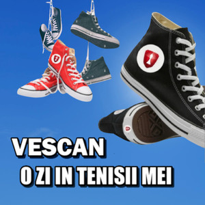Ți-Au Promis