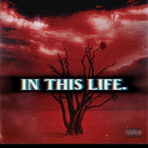 In This Life (Explicit)