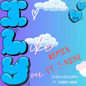 I Like You (feat. J-Nine) (Radio Edit)