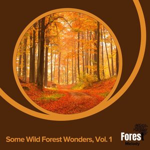 Forest Wildlife Stories for Relaxation, Vol. 10