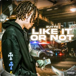 Like it or Not (Explicit)