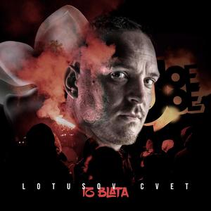 Bagradelik d.o.o. (feat. Chiro, Tarpe & Smirbe) (Explicit)